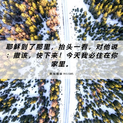 Picture 06 - 路 加 福 音 19:5 CUVS - 耶 稣 到 了 那 里 ， 抬 头 一 看 ， - Bible Verse Picture