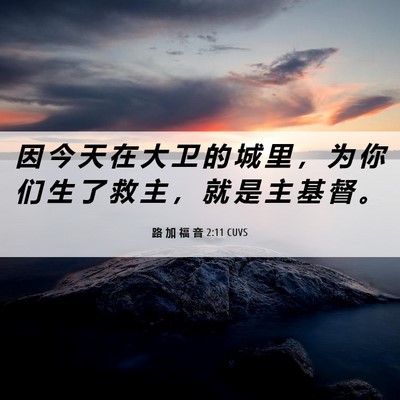 Picture 06 - 路 加 福 音 2:11 CUVS - 因 今 天 在 大 卫 的 城 里 ， 为 你 - Bible Verse Picture