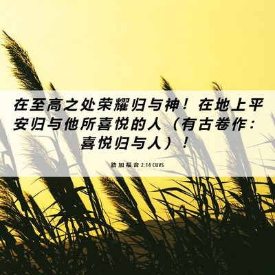 Picture 06 - 路 加 福 音 2:14 CUVS - 在 至 高 之 处 荣 耀 归 与 神 ！ 在 - Bible Verse Picture