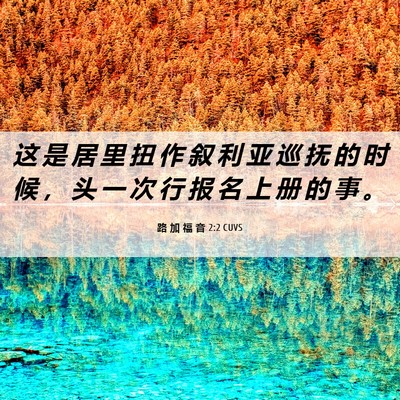 Picture 06 - 路 加 福 音 2:2 CUVS - 这 是 居 里 扭 作 叙 利 亚 巡 抚 的 - Bible Verse Picture