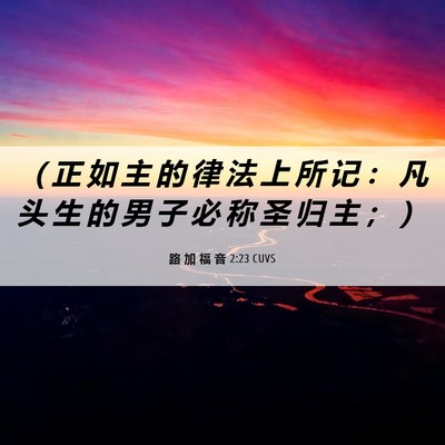 Picture 06 - 路 加 福 音 2:23 CUVS - （ 正 如 主 的 律 法 上 所 记 ： 凡 - Bible Verse Picture