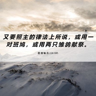 Picture 06 - 路 加 福 音 2:24 CUVS - 又 要 照 主 的 律 法 上 所 说 ， 或 - Bible Verse Picture