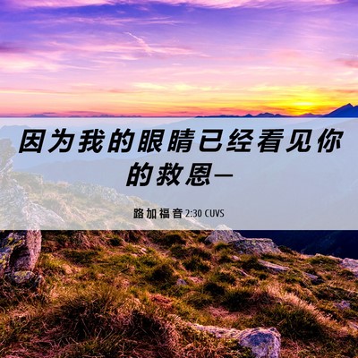 Picture 06 - 路 加 福 音 2:30 CUVS - 因 为 我 的 眼 睛 已 经 看 见 你 的 - Bible Verse Picture
