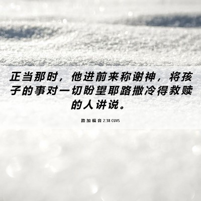 Picture 06 - 路 加 福 音 2:38 CUVS - 正 当 那 时 ， 他 进 前 来 称 谢 神 - Bible Verse Picture