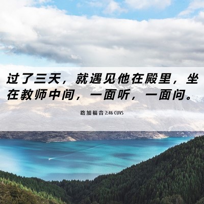 Picture 06 - 路 加 福 音 2:46 CUVS - 过 了 三 天 ， 就 遇 见 他 在 殿 里 - Bible Verse Picture