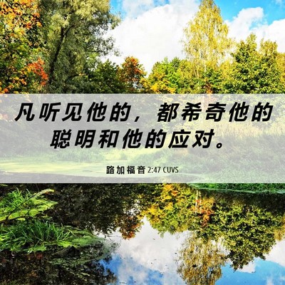 Picture 06 - 路 加 福 音 2:47 CUVS - 凡 听 见 他 的 ， 都 希 奇 他 的 聪 - Bible Verse Picture