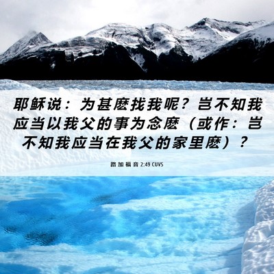 Picture 06 - 路 加 福 音 2:49 CUVS - 耶 稣 说 ： 为 甚 麽 找 我 呢 ？ 岂 - Bible Verse Picture