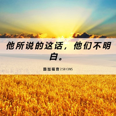 Picture 06 - 路 加 福 音 2:50 CUVS - 他 所 说 的 这 话 ， 他 们 不 明 白 - Bible Verse Picture