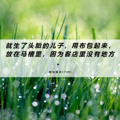 Picture 06 - 路 加 福 音 2:7 CUVS - 就 生 了 头 胎 的 儿 子 ， 用 布 包 - Bible Verse Picture