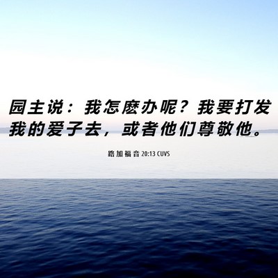 Picture 06 - 路 加 福 音 20:13 CUVS - 园 主 说 ： 我 怎 麽 办 呢 ？ 我 要 - Bible Verse Picture