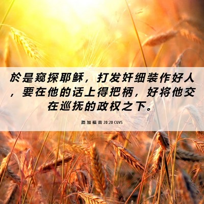 Picture 06 - 路 加 福 音 20:20 CUVS - 於 是 窥 探 耶 稣 ， 打 发 奸 细 装 - Bible Verse Picture