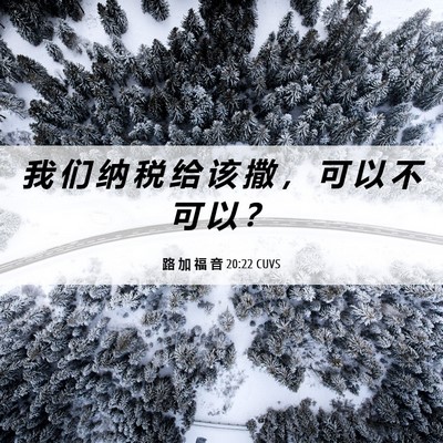 Picture 06 - 路 加 福 音 20:22 CUVS - 我 们 纳 税 给 该 撒 ， 可 以 不 可 - Bible Verse Picture