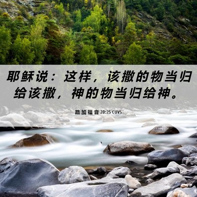 Picture 06 - 路 加 福 音 20:25 CUVS - 耶 稣 说 ： 这 样 ， 该 撒 的 物 当 - Bible Verse Picture