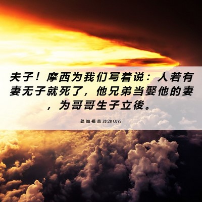 Picture 06 - 路 加 福 音 20:28 CUVS - 夫 子 ！ 摩 西 为 我 们 写 着 说 ： - Bible Verse Picture