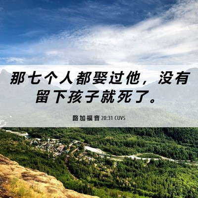 Picture 06 - 路 加 福 音 20:31 CUVS - 那 七 个 人 都 娶 过 他 ， 没 有 留 - Bible Verse Picture
