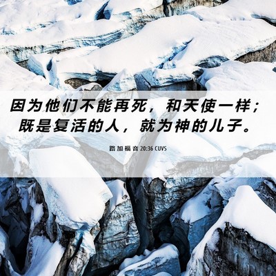 Picture 06 - 路 加 福 音 20:36 CUVS - 因 为 他 们 不 能 再 死 ， 和 天 使 - Bible Verse Picture