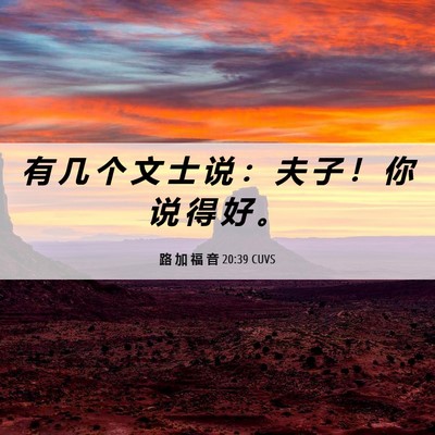 Picture 06 - 路 加 福 音 20:39 CUVS - 有 几 个 文 士 说 ： 夫 子 ！ 你 说 - Bible Verse Picture