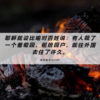 Picture 06 - 路 加 福 音 20:9 CUVS - 耶 稣 就 设 比 喻 对 百 姓 说 ： 有 - Bible Verse Picture
