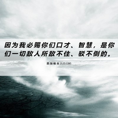 Picture 06 - 路 加 福 音 21:15 CUVS - 因 为 我 必 赐 你 们 口 才 、 智 慧 - Bible Verse Picture