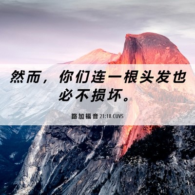 Picture 06 - 路 加 福 音 21:18 CUVS - 然 而 ， 你 们 连 一 根 头 发 也 必 - Bible Verse Picture