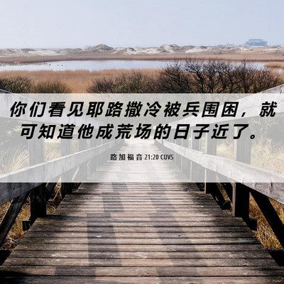 Picture 06 - 路 加 福 音 21:20 CUVS - 你 们 看 见 耶 路 撒 冷 被 兵 围 困 - Bible Verse Picture