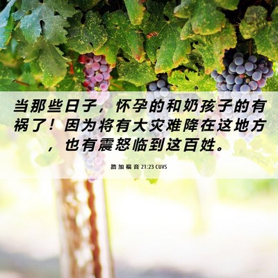 Picture 06 - 路 加 福 音 21:23 CUVS - 当 那 些 日 子 ， 怀 孕 的 和 奶 孩 - Bible Verse Picture