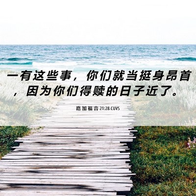 Picture 06 - 路 加 福 音 21:28 CUVS - 一 有 这 些 事 ， 你 们 就 当 挺 身 - Bible Verse Picture