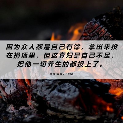 Picture 06 - 路 加 福 音 21:4 CUVS - 因 为 众 人 都 是 自 己 有 馀 ， 拿 - Bible Verse Picture