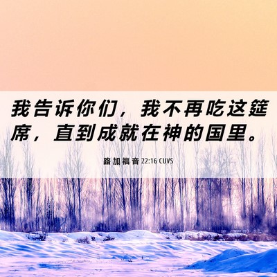 Picture 06 - 路 加 福 音 22:16 CUVS - 我 告 诉 你 们 ， 我 不 再 吃 这 筵 - Bible Verse Picture