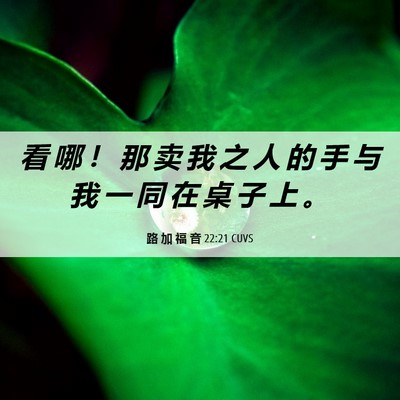 Picture 06 - 路 加 福 音 22:21 CUVS - 看 哪 ！ 那 卖 我 之 人 的 手 与 我 - Bible Verse Picture