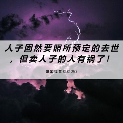Picture 06 - 路 加 福 音 22:22 CUVS - 人 子 固 然 要 照 所 预 定 的 去 世 - Bible Verse Picture