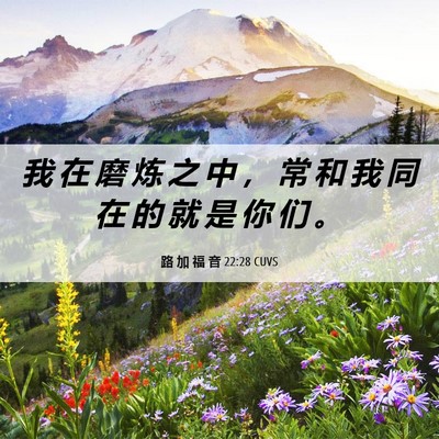 Picture 06 - 路 加 福 音 22:28 CUVS - 我 在 磨 炼 之 中 ， 常 和 我 同 在 - Bible Verse Picture