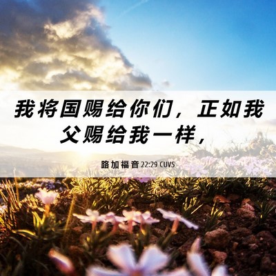 Picture 06 - 路 加 福 音 22:29 CUVS - 我 将 国 赐 给 你 们 ， 正 如 我 父 - Bible Verse Picture