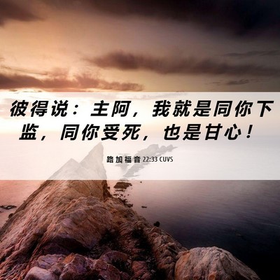 Picture 06 - 路 加 福 音 22:33 CUVS - 彼 得 说 ： 主 阿 ， 我 就 是 同 你 - Bible Verse Picture