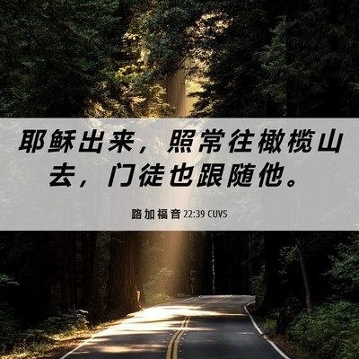 Picture 06 - 路 加 福 音 22:39 CUVS - 耶 稣 出 来 ， 照 常 往 橄 榄 山 去 - Bible Verse Picture