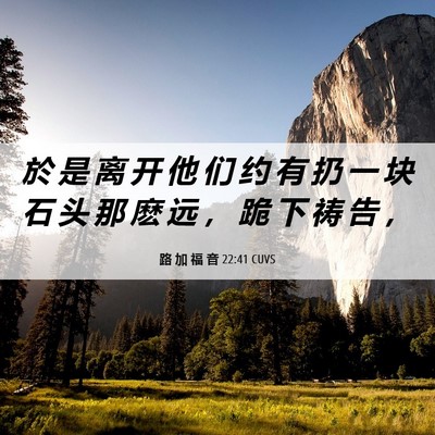 Picture 06 - 路 加 福 音 22:41 CUVS - 於 是 离 开 他 们 约 有 扔 一 块 石 - Bible Verse Picture
