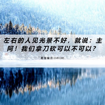 Picture 06 - 路 加 福 音 22:49 CUVS - 左 右 的 人 见 光 景 不 好 ， 就 说 - Bible Verse Picture