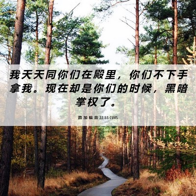 Picture 06 - 路 加 福 音 22:53 CUVS - 我 天 天 同 你 们 在 殿 里 ， 你 们 - Bible Verse Picture