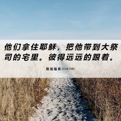 Picture 06 - 路 加 福 音 22:54 CUVS - 他 们 拿 住 耶 稣 ， 把 他 带 到 大 - Bible Verse Picture
