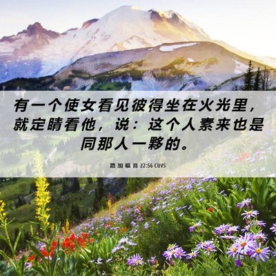 Picture 06 - 路 加 福 音 22:56 CUVS - 有 一 个 使 女 看 见 彼 得 坐 在 火 - Bible Verse Picture