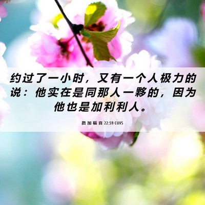 Picture 06 - 路 加 福 音 22:59 CUVS - 约 过 了 一 小 时 ， 又 有 一 个 人 - Bible Verse Picture
