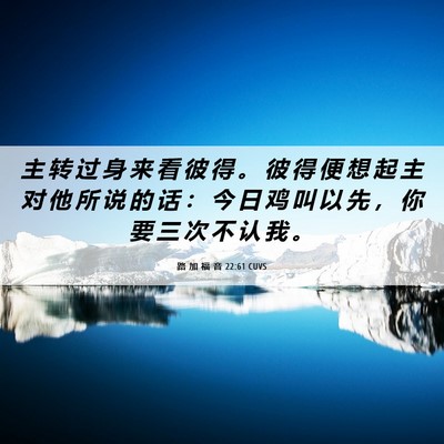 Picture 06 - 路 加 福 音 22:61 CUVS - 主 转 过 身 来 看 彼 得 。 彼 得 便 - Bible Verse Picture