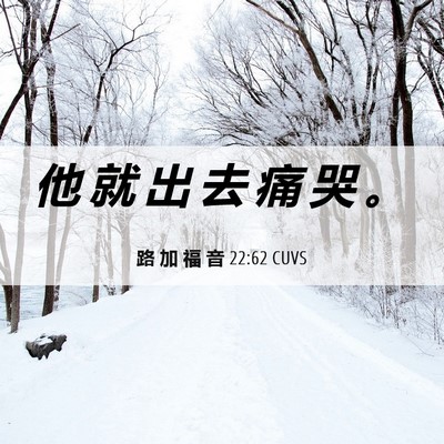 Picture 06 - 路 加 福 音 22:62 CUVS - 他 就 出 去 痛 哭 - Bible Verse Picture
