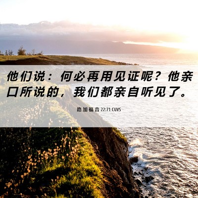 Picture 06 - 路 加 福 音 22:71 CUVS - 他 们 说 ： 何 必 再 用 见 证 呢 ？ - Bible Verse Picture