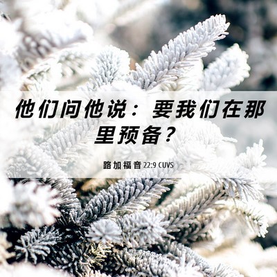 Picture 06 - 路 加 福 音 22:9 CUVS - 他 们 问 他 说 ： 要 我 们 在 那 里 - Bible Verse Picture