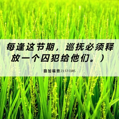 Picture 06 - 路 加 福 音 23:17 CUVS - 每 逢 这 节 期 ， 巡 抚 必 须 释 放 - Bible Verse Picture