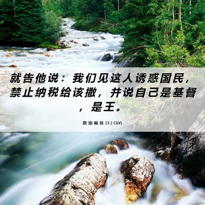 Picture 06 - 路 加 福 音 23:2 CUVS - 就 告 他 说 ： 我 们 见 这 人 诱 惑 - Bible Verse Picture