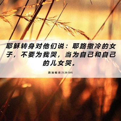 Picture 06 - 路 加 福 音 23:28 CUVS - 耶 稣 转 身 对 他 们 说 ： 耶 路 撒 - Bible Verse Picture