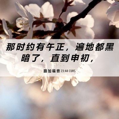 Picture 06 - 路 加 福 音 23:44 CUVS - 那 时 约 有 午 正 ， 遍 地 都 黑 暗 - Bible Verse Picture