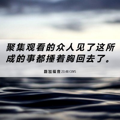 Picture 06 - 路 加 福 音 23:48 CUVS - 聚 集 观 看 的 众 人 见 了 这 所 成 - Bible Verse Picture